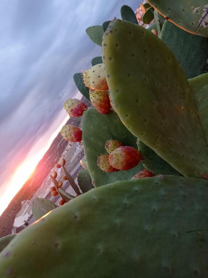 Trigona Garden Suite Noto Exterior foto
