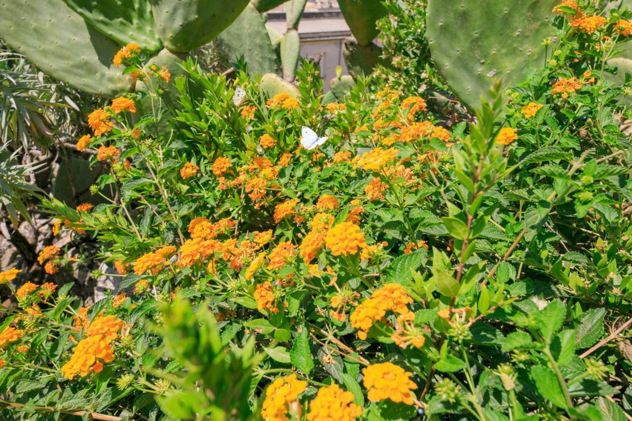 Trigona Garden Suite Noto Exterior foto